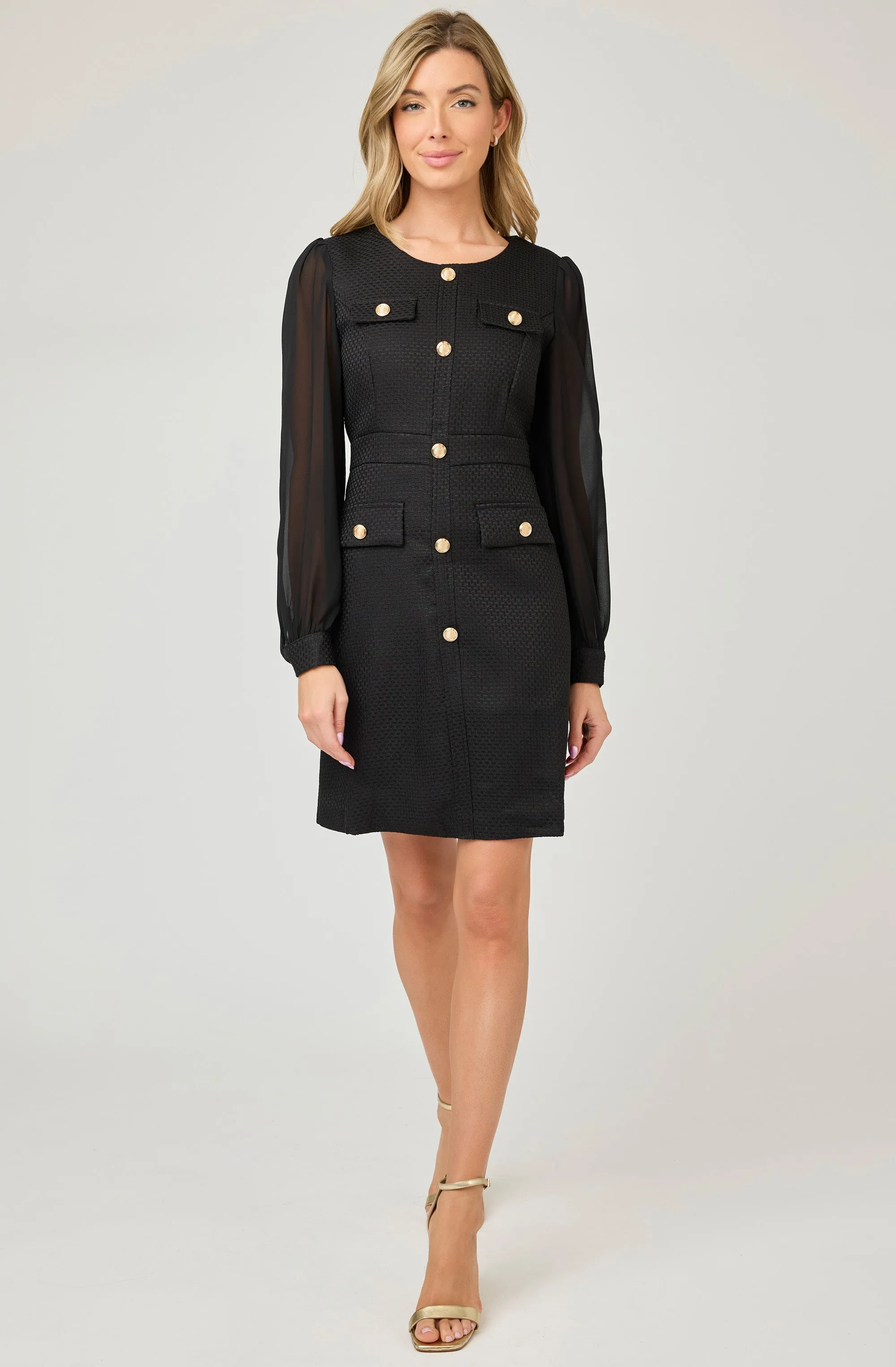 Embossed Fitted Dress with Chiffon Puff Sleeves